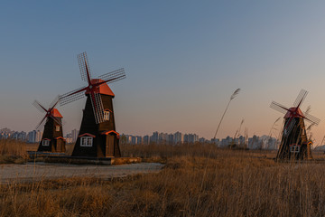Naklejka premium Sunrise at Sorae Wetland Ecological Park