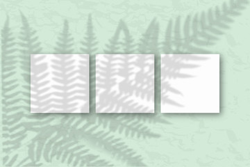 3 square sheets of white textured paper on the gray-green wall background. Mockup with an overlay of plant shadows. Natural light casts shadows from the fern leaves. Flat lay, top view