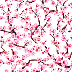 Watercolor floral sakura seamless pattern. Spring cherry blossom background, isolated on white.