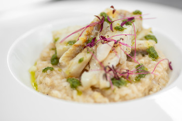 Chef food decorates with microgreens sprouts fish dish. Concept high art cooking