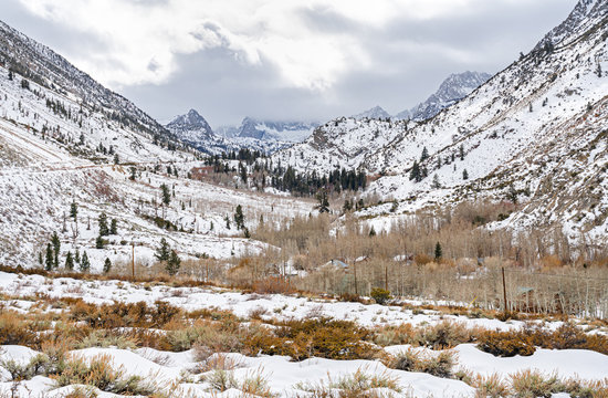 Winter in Aspendell
