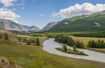 Mountain valley in natural light, river, forest on the slopes