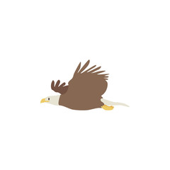 eagle icon vector illustration. Cartoon style bird, isolated on a white background