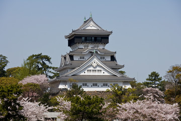 小倉城天守閣と桜