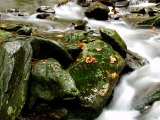A river stream of water jumps over rocks. Moody autumn photo.