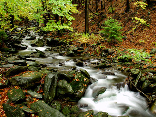 A river stream of water jumps over rocks. Moody autumn photo.