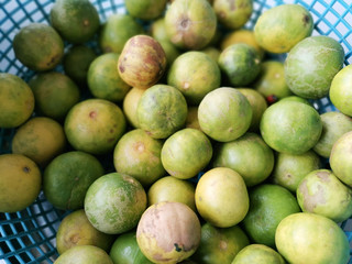 Thai lemon in basket