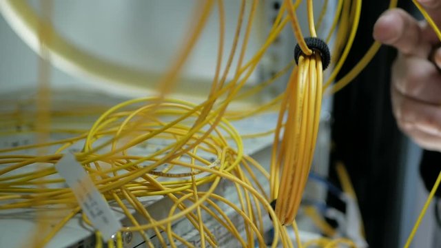 รูปภาพPatchcord – เลือกดูภาพถ่ายสต็อก เวกเตอร์ และวิดีโอ10,604 | Adobe ...