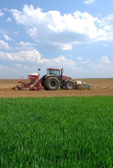 Fototapeta premium Semis mais avec semoir 32 rangs de 4m et outil ottavioli (tasseligne) à l'avant. Ciel nuageux