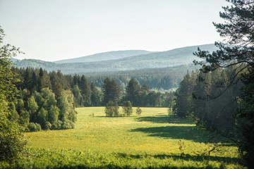 landscape in the mountains