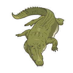 凶暴なワニのイラスト　全身　