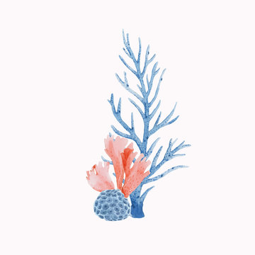 Beautiful vector underwater composition with watercolor sea life stock illustrations.
