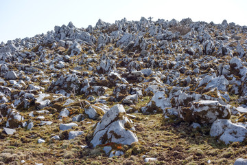 霊仙山