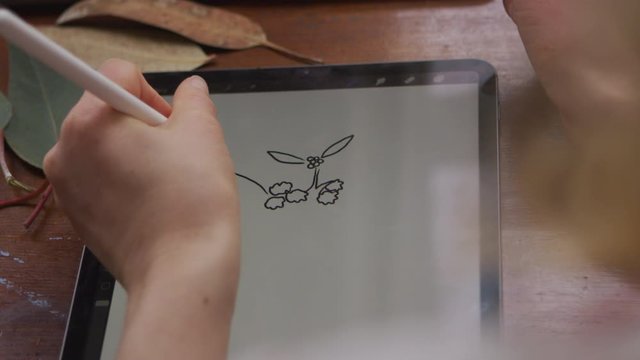 Woman using iPad and stylus to draw plant