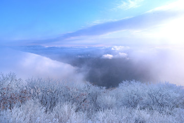눈으로 덮힌 덕유산의 겨울풍경