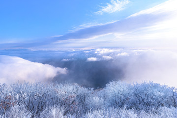 눈으로 덮힌 덕유산의 겨울풍경