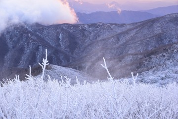 눈으로 덮힌 덕유산의 겨울풍경