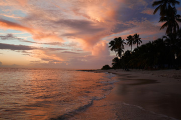 Naklejka na ściany i meble Sunset on the beach. Paradise beach. Tropical paradise, white sand, beach, palm trees and clear water.