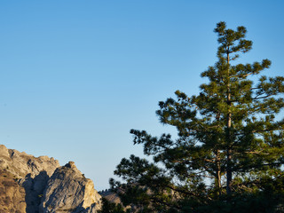 Image of cliff in early spring.