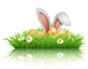 Happy Easter greeting card. Rabbit ears peeping out of grass with daisies.