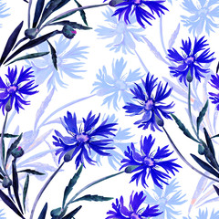 Watercolor illustration of a bouquet of wildflowers, cornflowers on a colored background