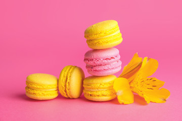 Tasty macarons on color background