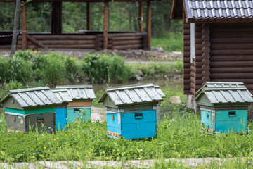 Naklejka premium Wooden houses for breeding bees in apiary in mountains.