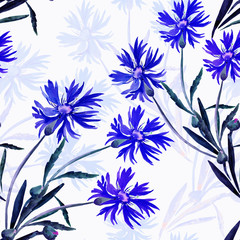 Fototapeta premium Watercolor illustration of a bouquet of wildflowers, cornflowers on a colored background