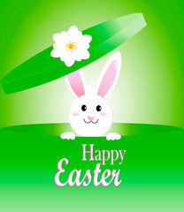 a white Easter hare in a green hatbox on the lid of the box is a white Daisy