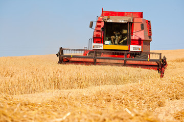 Moissonneuse au travail dans un champ de blé en France.
