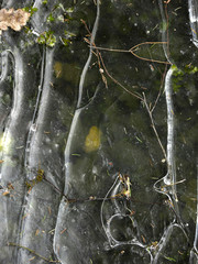 beautiful shaped ice with streaks in a frozen ditch