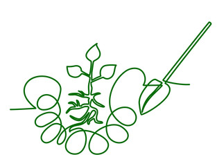 sprout planted in the ground vector image