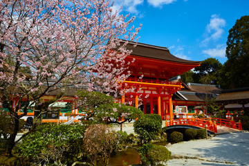 桜１４