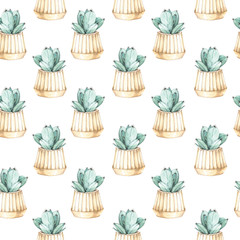 cactus pattern