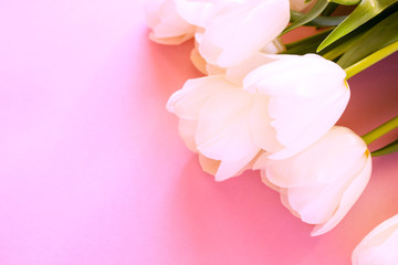 Fototapeta na wymiar Bouquet of white tulips on a pink background. The concept of congratulating women on spring holidays. Place for text. Flat layout.