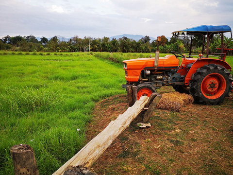 Orange Tractor With Green Fields