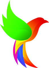 eagle colorful design illustration vector template