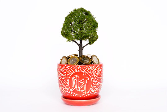Vase with Coins , Currency, Tree, Business