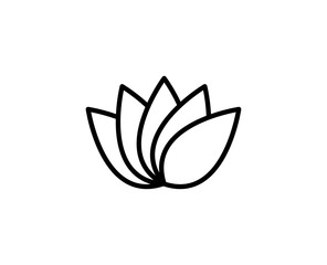 Lotus line icon