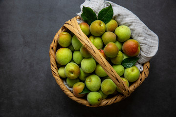 Freshly green plum on dark gray background.
