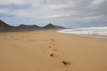 Footprints in the Beach Sand with Mountains at the Horizon 