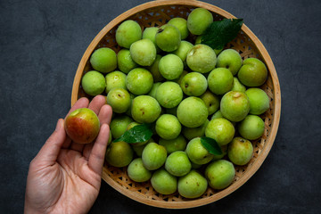 Freshly green plum on dark gray background.
