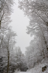 inverno in Lessinia