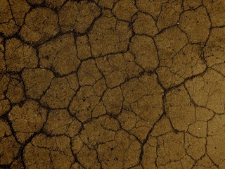 Cracked earth