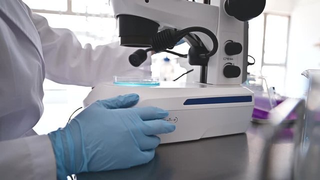 実体顕微鏡を操作する手元