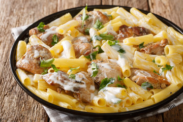 Tortiglioni homemade pasta with chicken in cheese cream sauce with herbs close-up in a plate. horizontal