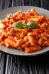 Italian traditional tortiglioni pasta with bolognese sauce close-up in a plate. vertical