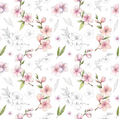 Spring sakura, cherry, almond blossom watercolor and pen ink botanical seamless pattern. Pink-stained with monochrome details floral background for wallpaper, gift wrapping paper, textile design. 