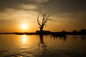 Sunset and tree  on the lake.