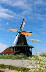 Fototapeta premium View of traditional Dutch windmill with the flowers as foreground in spring at the Zaanse Schans, Zaandam, Netherlands